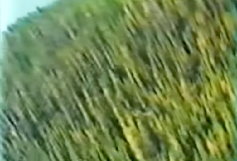 The pilot appeared to make a sharp turn (YouTube/mybad67)