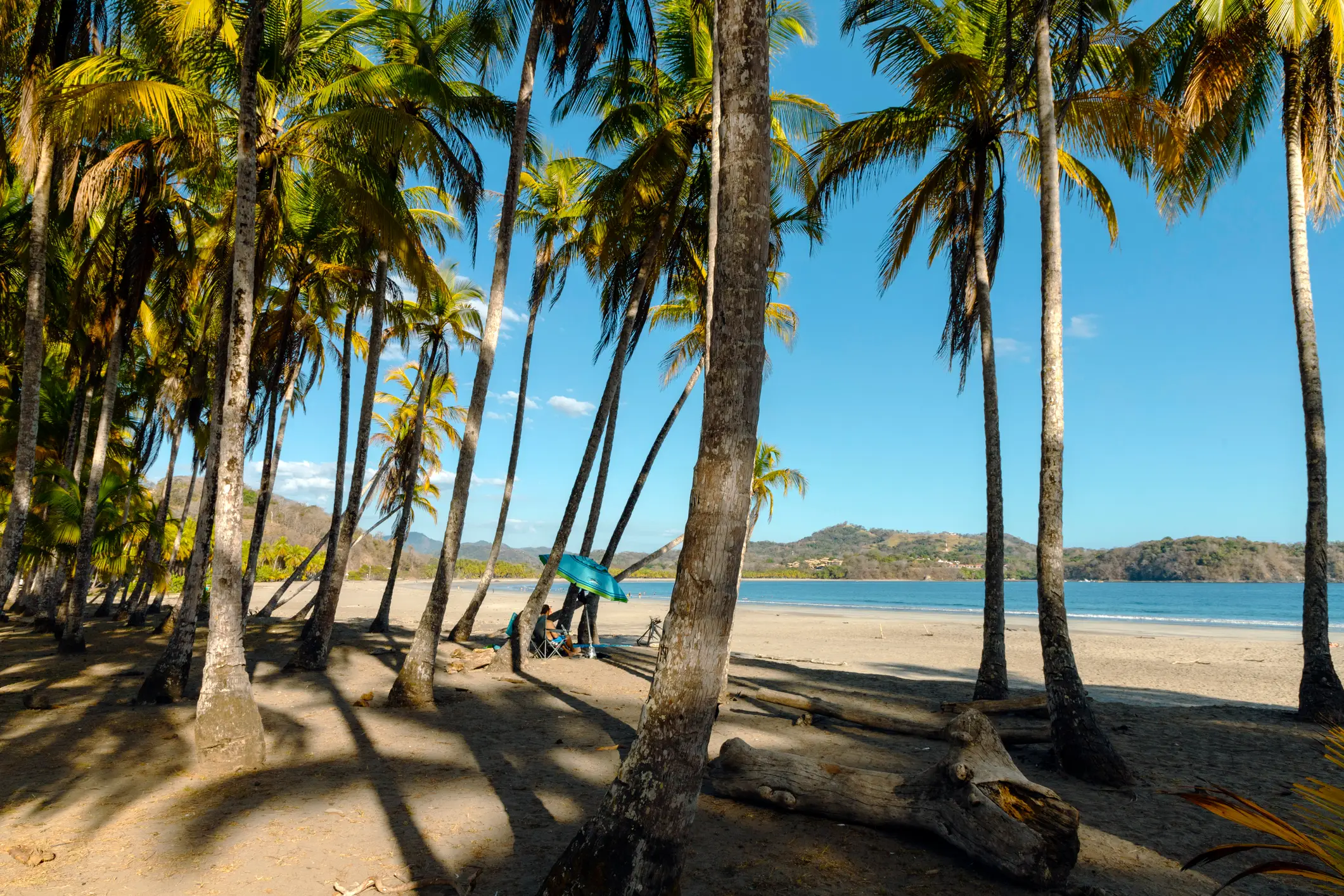 Yep, you can see why the family moved there (Getty Stock Photo)
