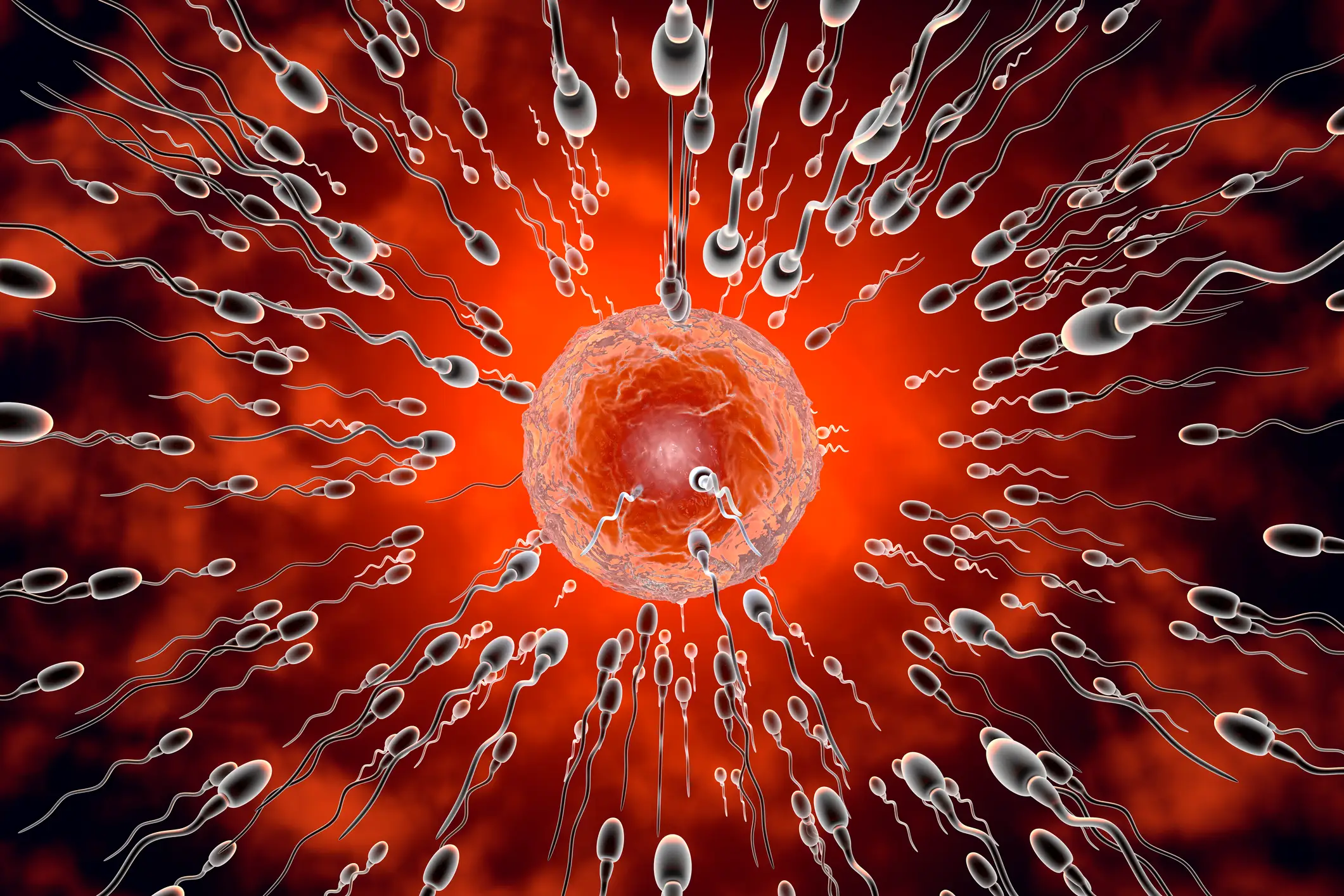 Swimmers will be put to the ultimate test (Westend61/Getty Images)