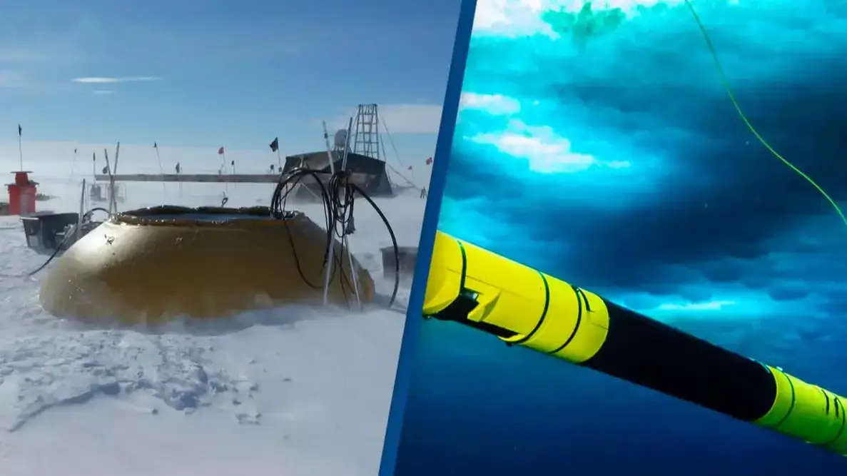 Peter Davis/British Antarctic Survey/ITGC