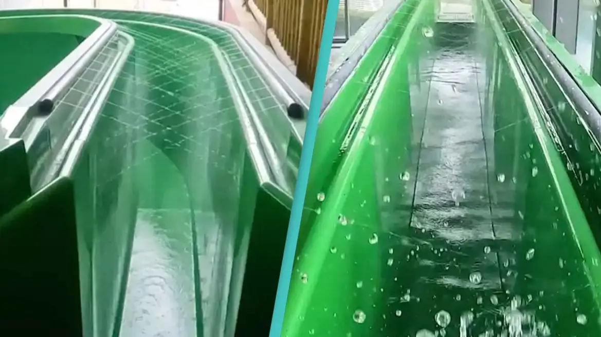 TikTok/@thewatertube