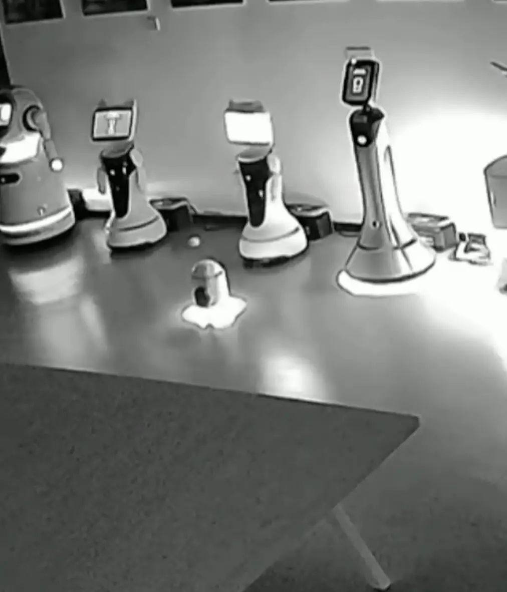 Just one robot convincing another robot to follow him, nothing to see here (bay2nd/douyin)