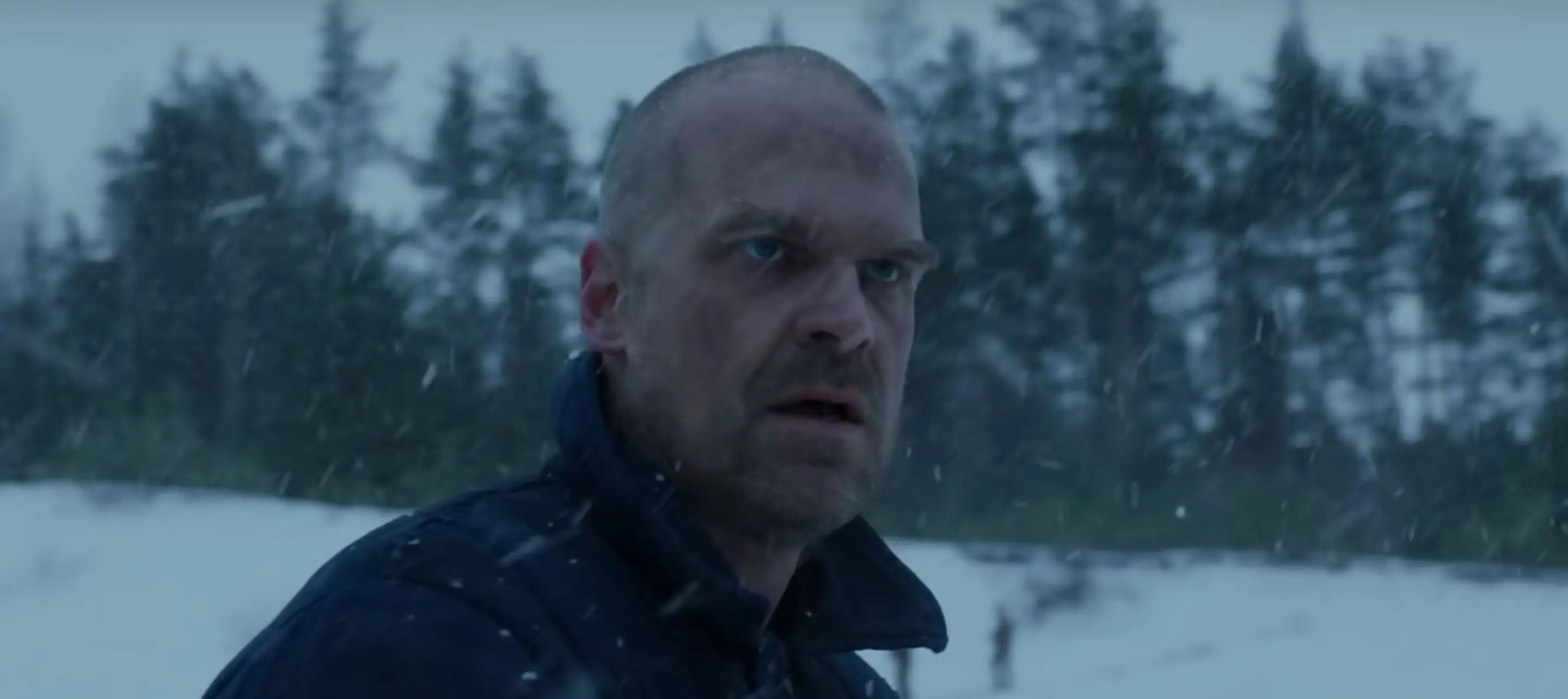 David Harbour revealed who he would love to see play a young Jim Hopper.