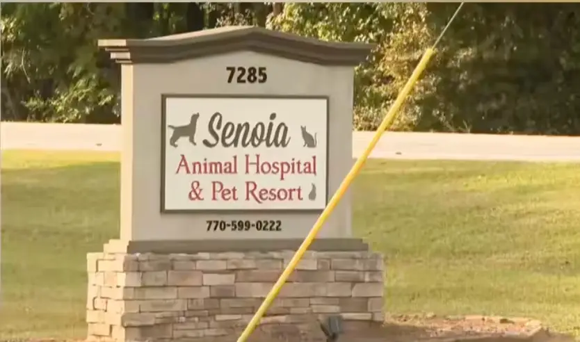 Senoia police and prosecutors have declined to pursue criminal charges against veterinary hospital employees over the cases. (WHIO)