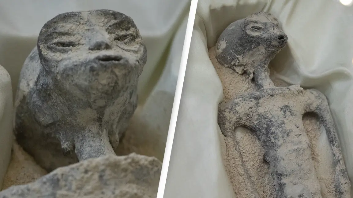 Daniel Cardenas/Anadolu Agency via Getty Images / Daniel Cardenas/Anadolu Agency via Getty Images