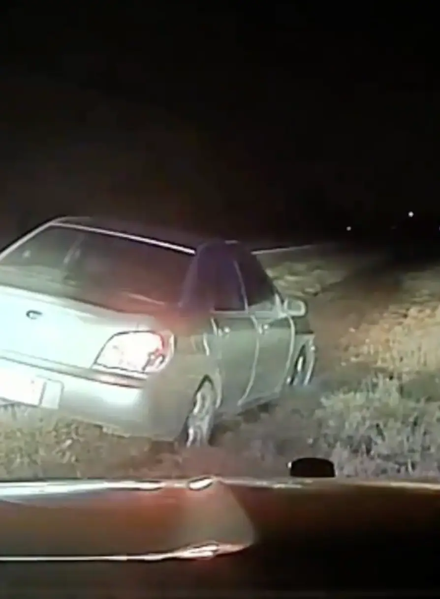 Cops pulled the driver over.