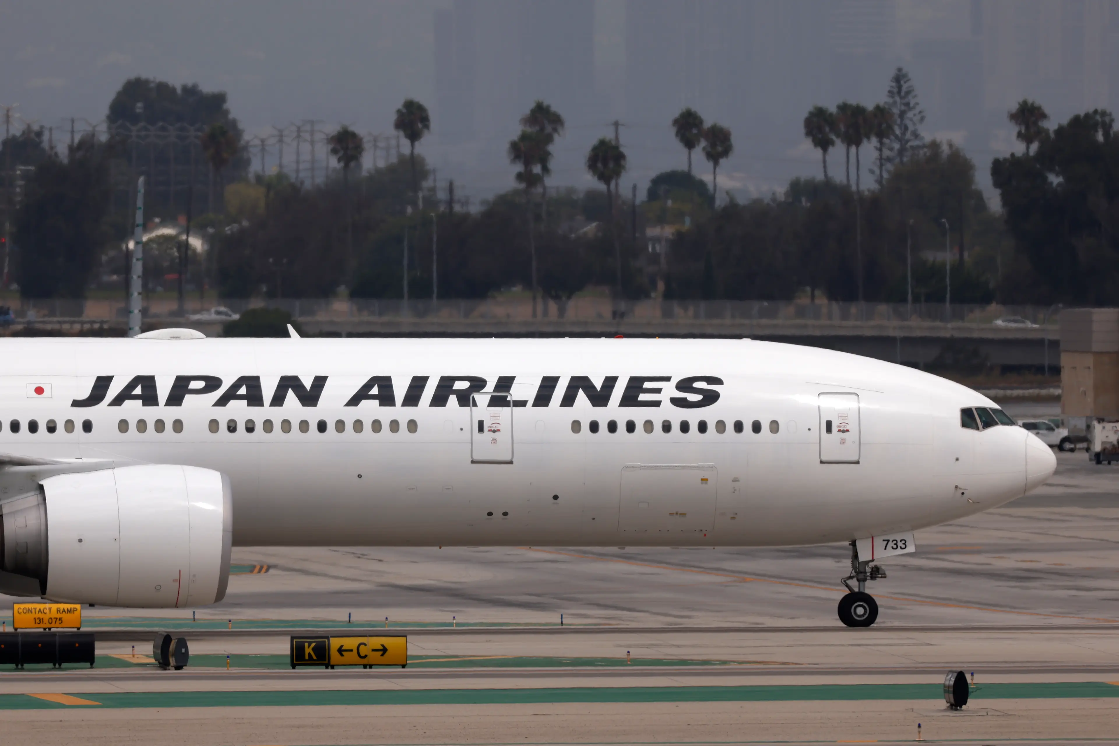 Several Japan Airlines flights were affected (Kevin Carter/Getty Images)