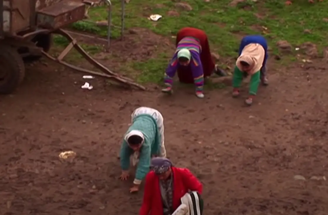 Professor Humphrey said the description of the family as having undergone 'devolution' was 'insulting'.