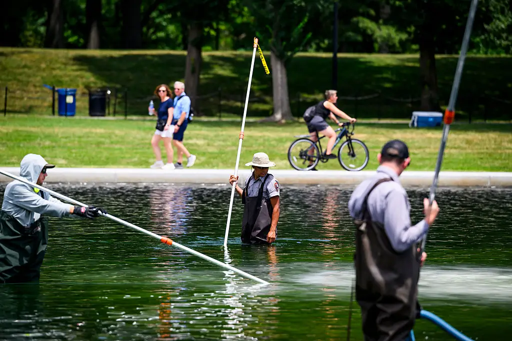 The renovation has faced a number of setbacks since it began, with the pool turning a noticeable shade of lime green at one point due to an algae bloom, while chunks of blue coating have also been seen visibly separating from the pool's structure. (Photo by Pete Kiehart for The Washington Post via Getty Images)