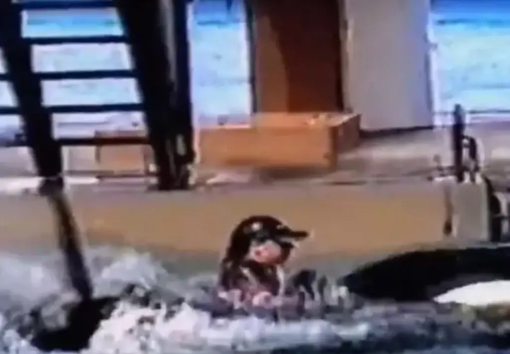 The terrifying incident took place in 2010.