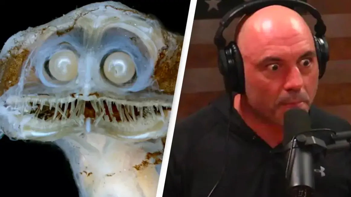 Joe Rogan says we should all be talking about 'freaky looking motherf***er' that lurks deep in the ocean