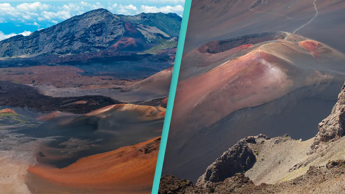 Pascale Sury / John Sylvester / Alamy Stock Photo