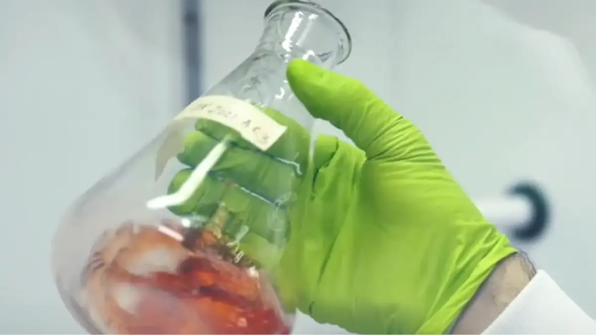 Oxford Cancer via YouTube