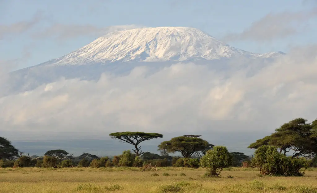 Al Gore said within a decade there would be ‘no more snows of Kilimanjaro’, but the AI Overview says seasonal snow and ice persist. (Photo by MLADEN ANTONOV/AFP via Getty Images)
