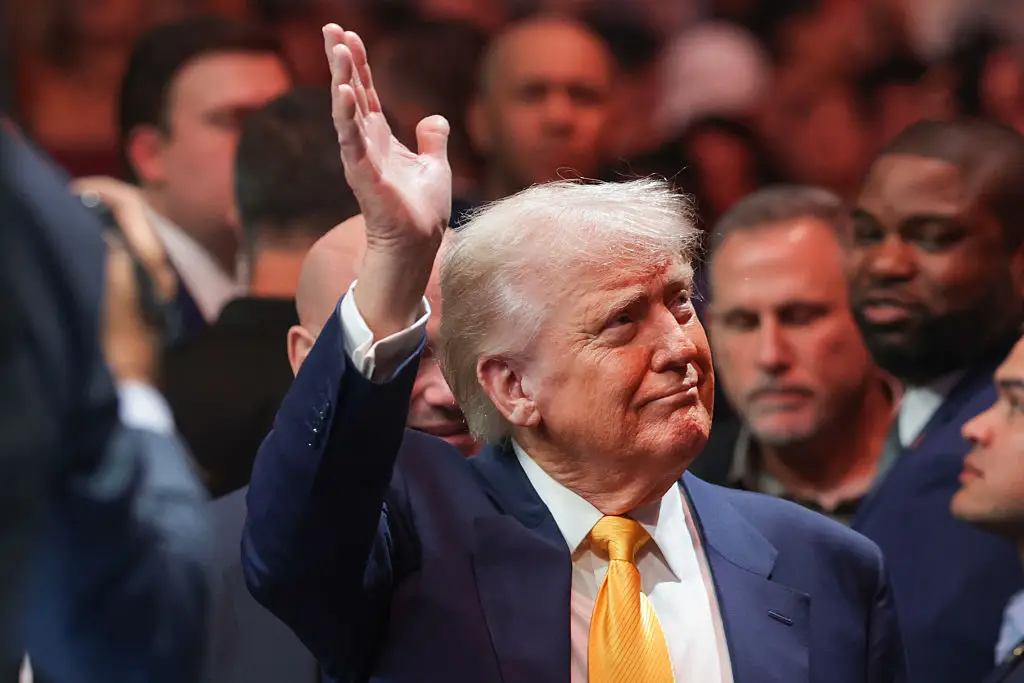 Donald Trump seen at UFC 314 last night in Flordia (Joe Raedle/Getty Images)
