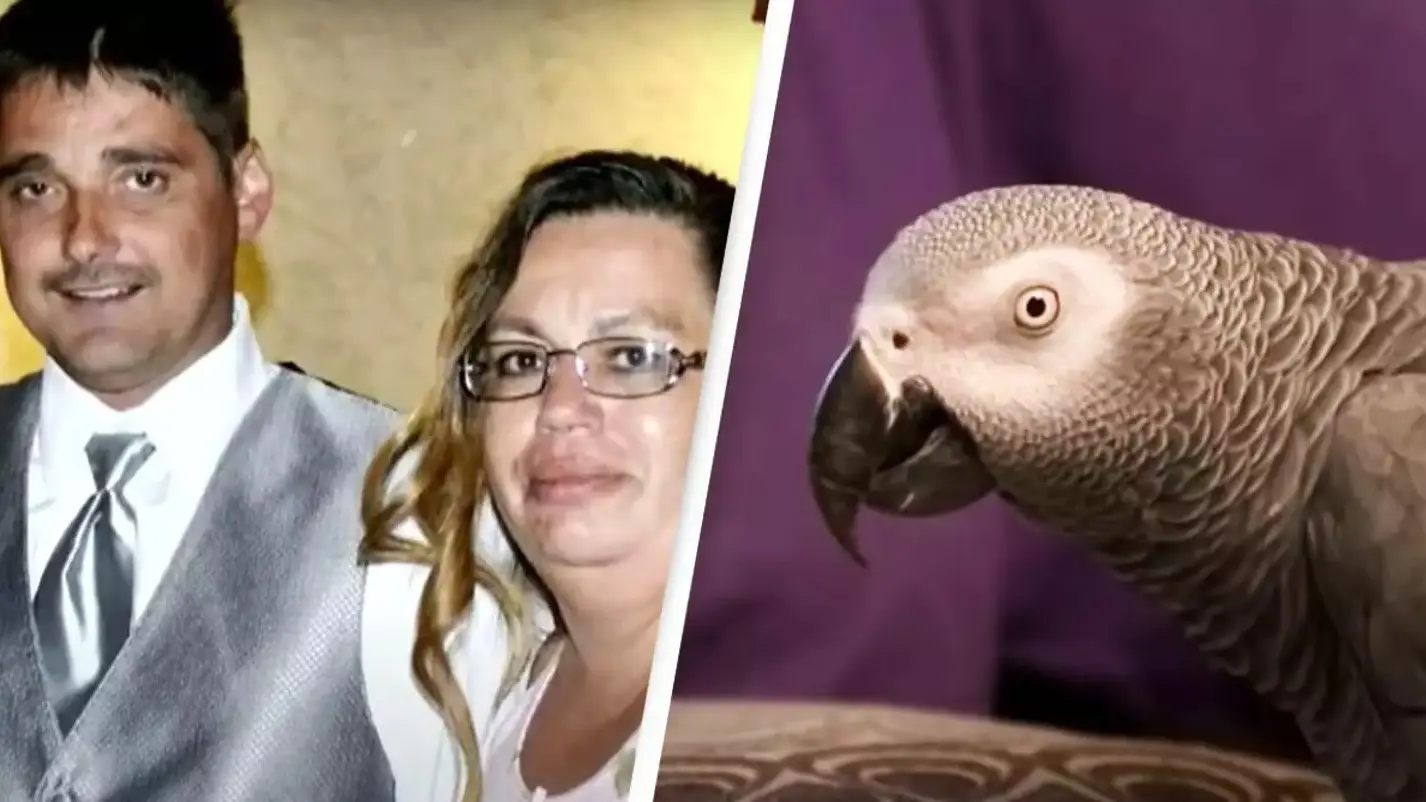 YouTube/Inside Edition