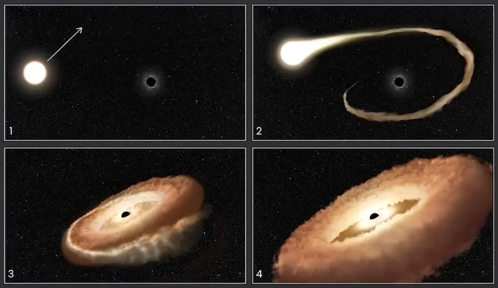Artist illustrations show the various stages of the star being devoured by the black hole.