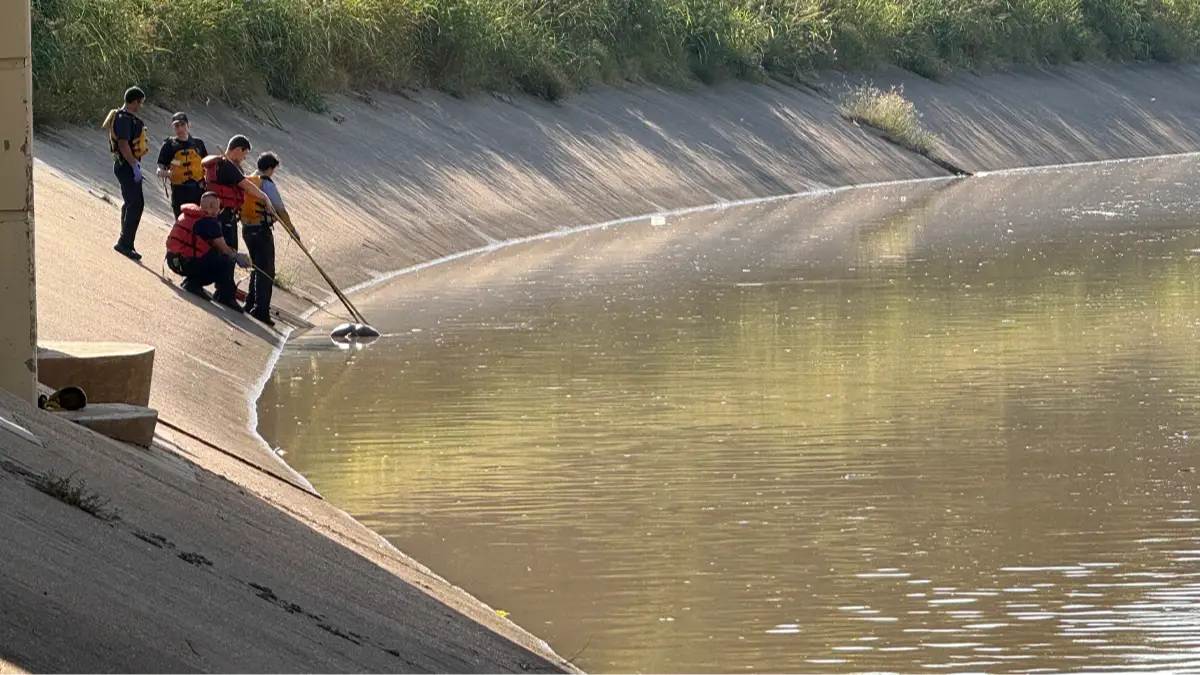 Jill Karnicki/Houston Chronicle via Getty Images