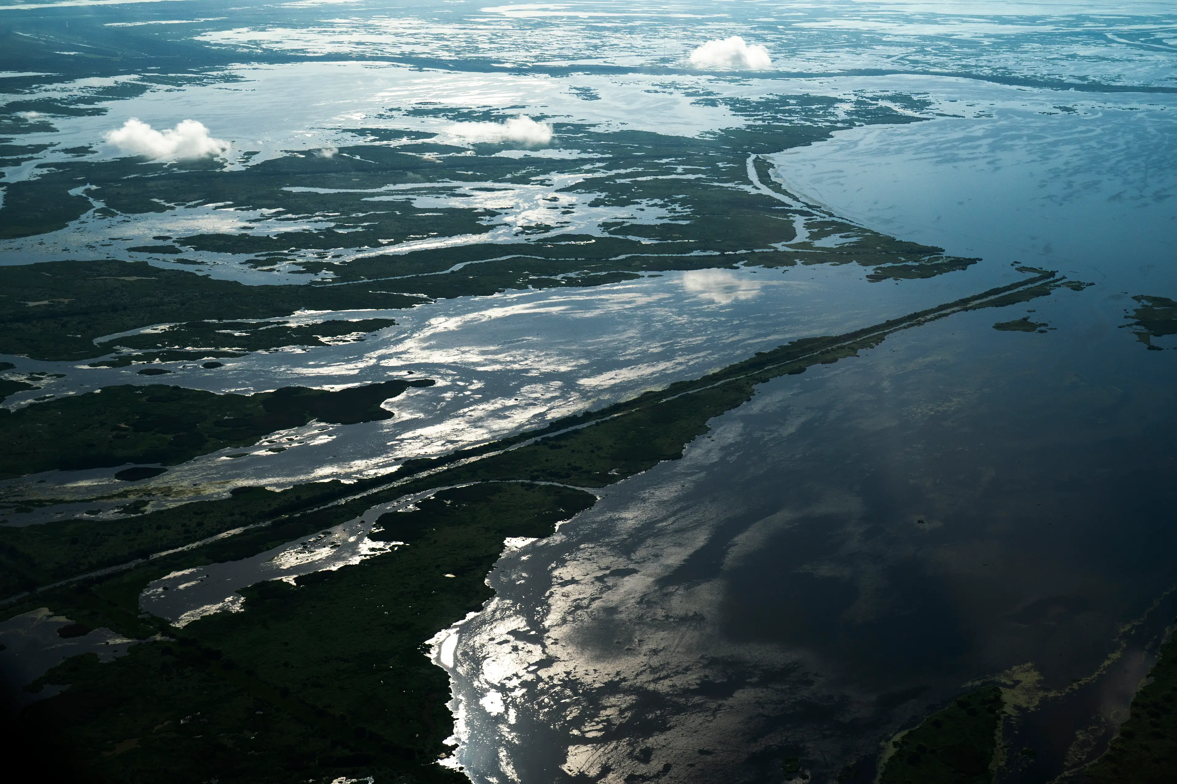 Say goodbye to the Louisiana wetlands (Drew Angerer/Getty Images)