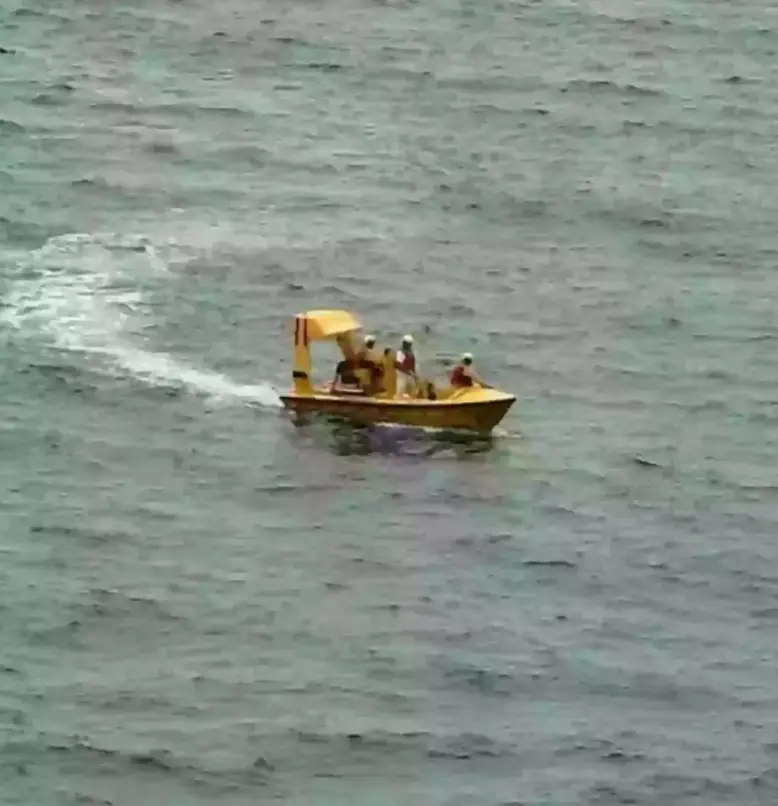 The father was hailed a 'hero' after diving in to save his daughter (Facebook/DeWayne Smith)