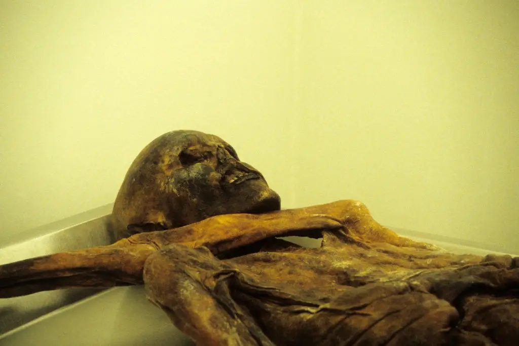 A team of scientists has baked a loaf of sourdough bread using yeast harvested from Oetzi the Iceman (Photo by: Universal Archive/Universal Images Group via Getty Images)