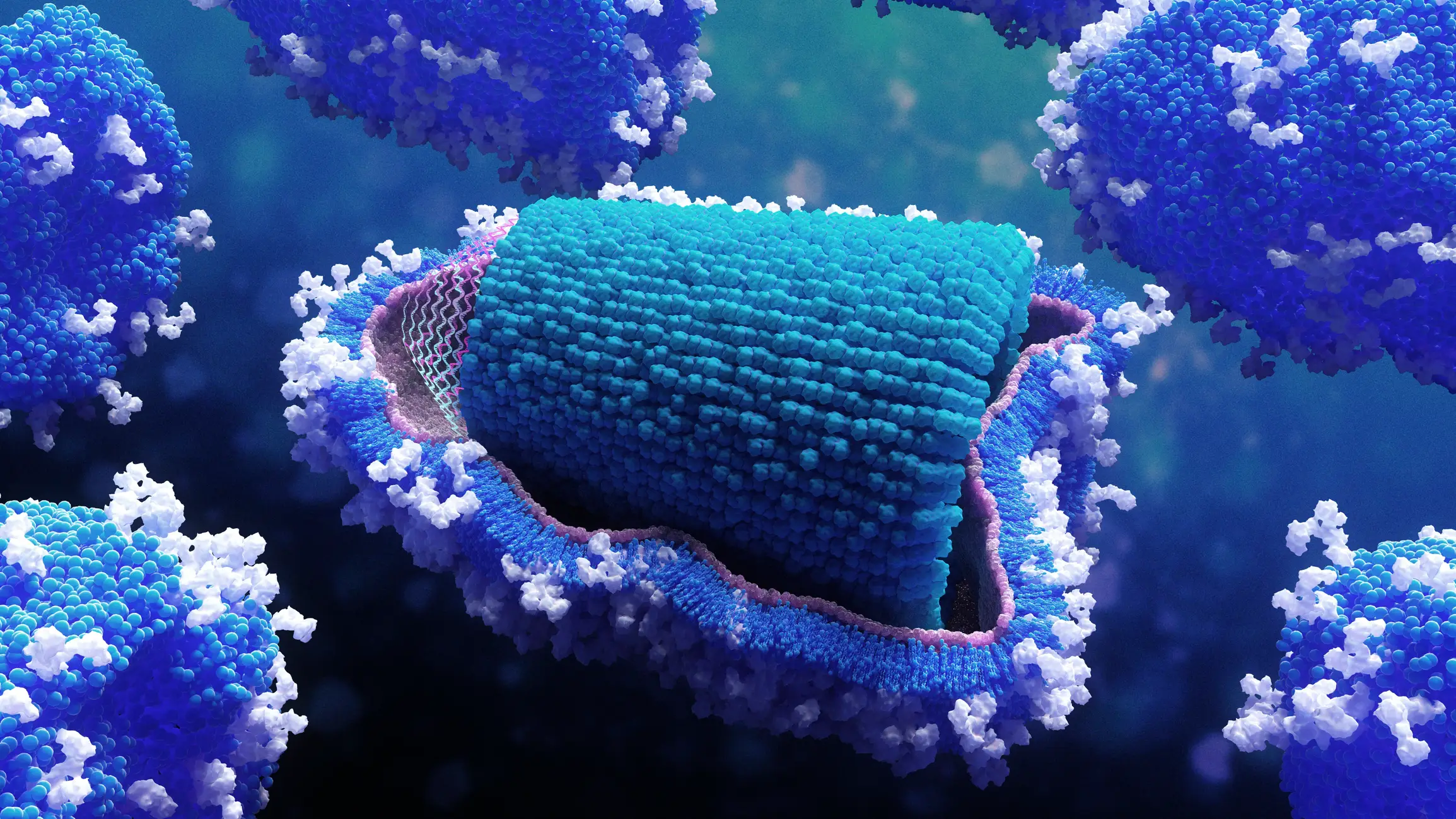 Rabies is a virus usually passed through a bite or scratch from an infected animal (Getty stock images)