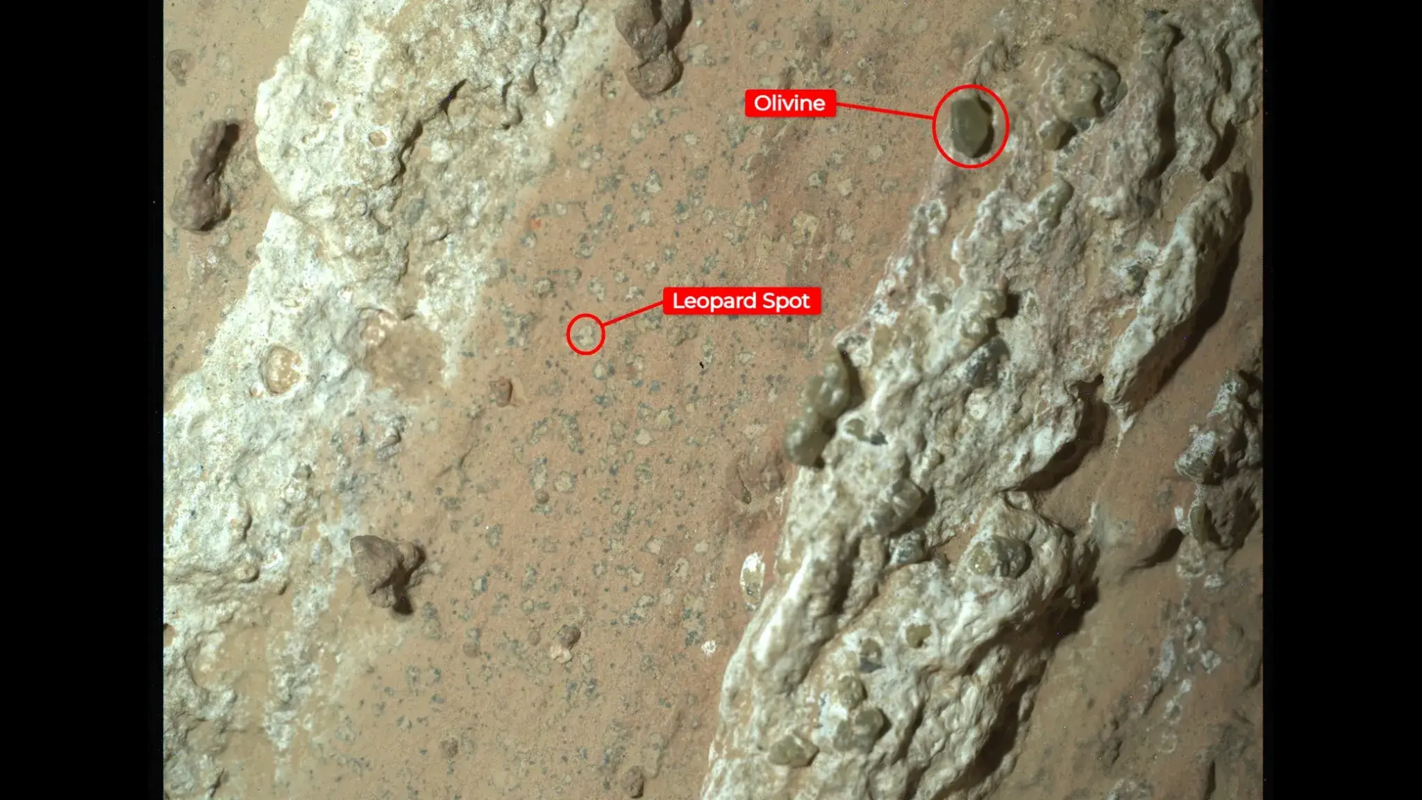The colored spots on the rock have captured NASA's interest.(NASA/JPL-Caltech/MSSS)