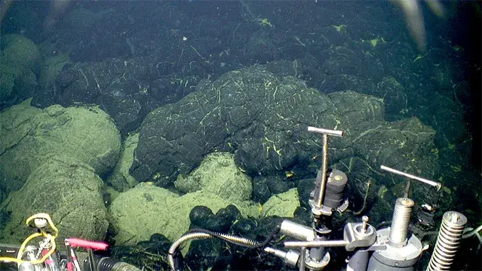The edge of the 2015 lava flow at Axial Seamount (the dark lava at right) where it overlies older sedimented lavas (lower left) (Bill Chadwick/Oregon State University, ROV Jason/Woods Hole Oceanographic Institution)
