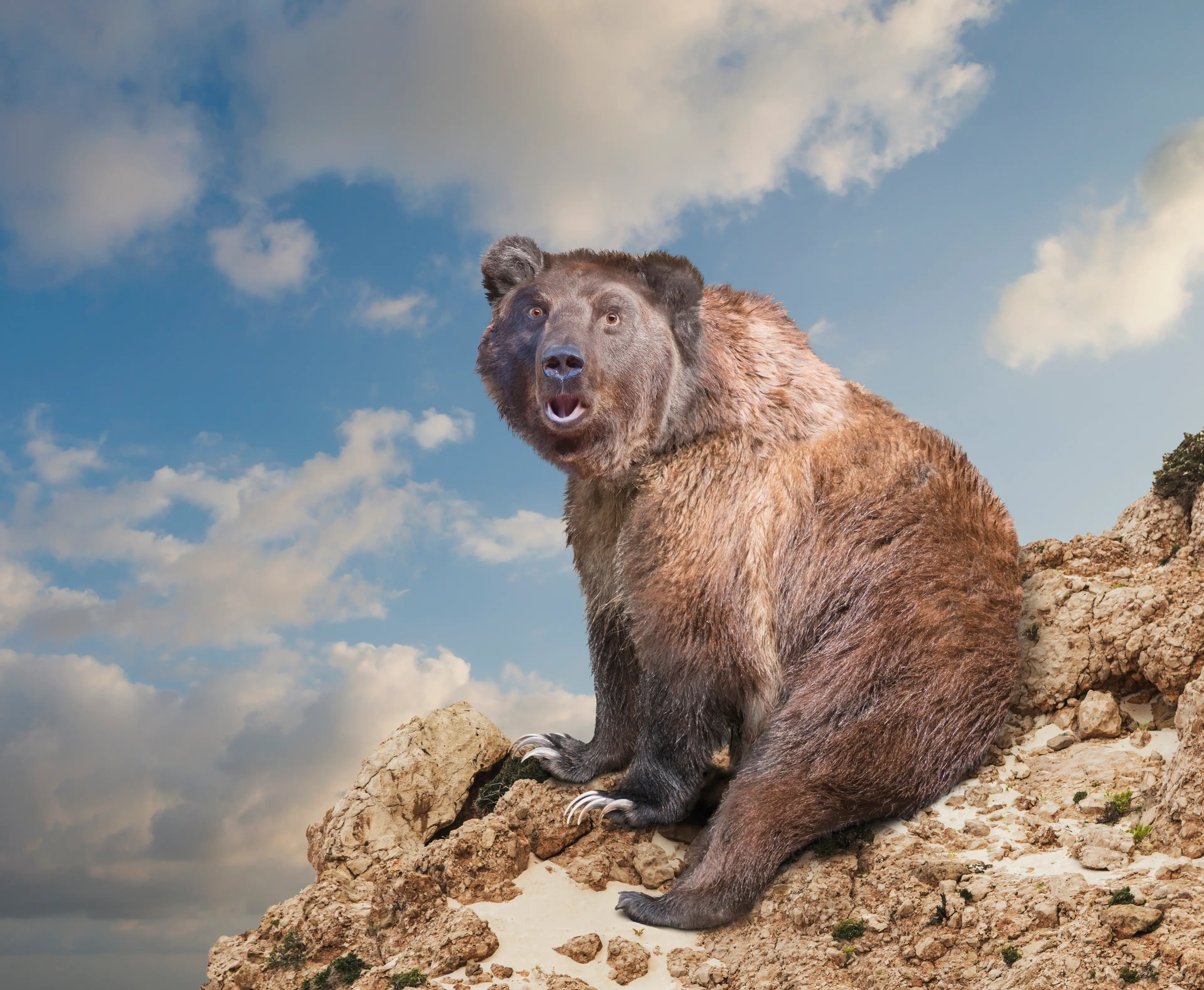 They ate what now? (Getty Stock Images/ John M Lund Photography Inc) 