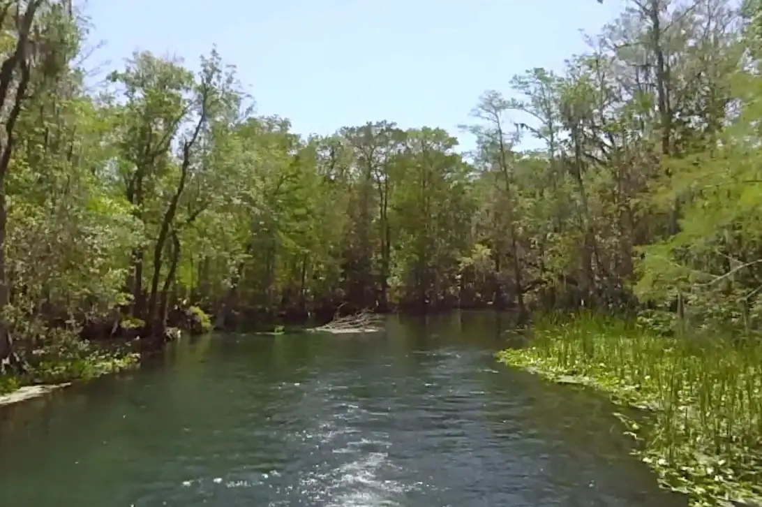 The family were out boating onSilver River (Google Maps)