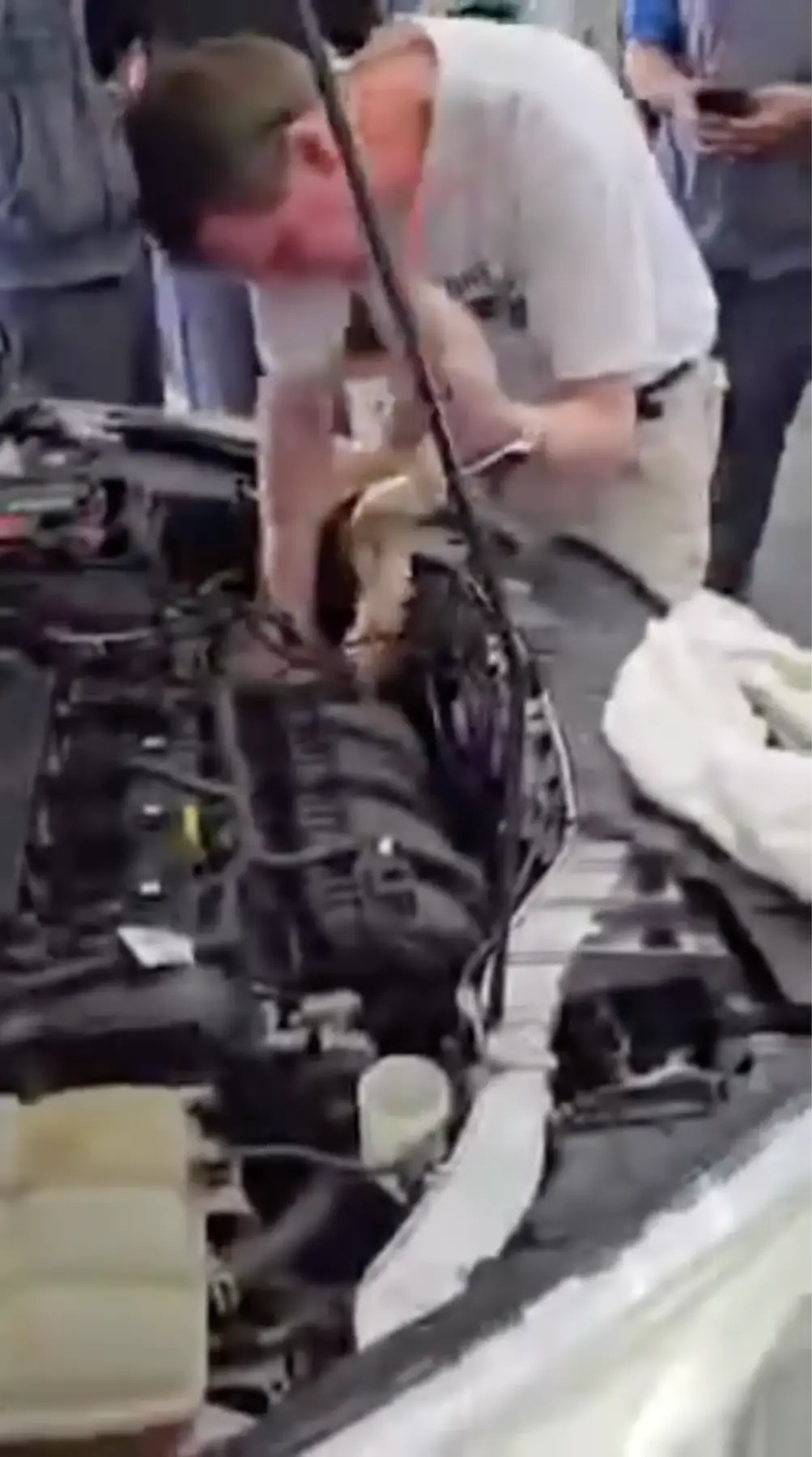 Russell said he thought the snake had gone in there for warmth.