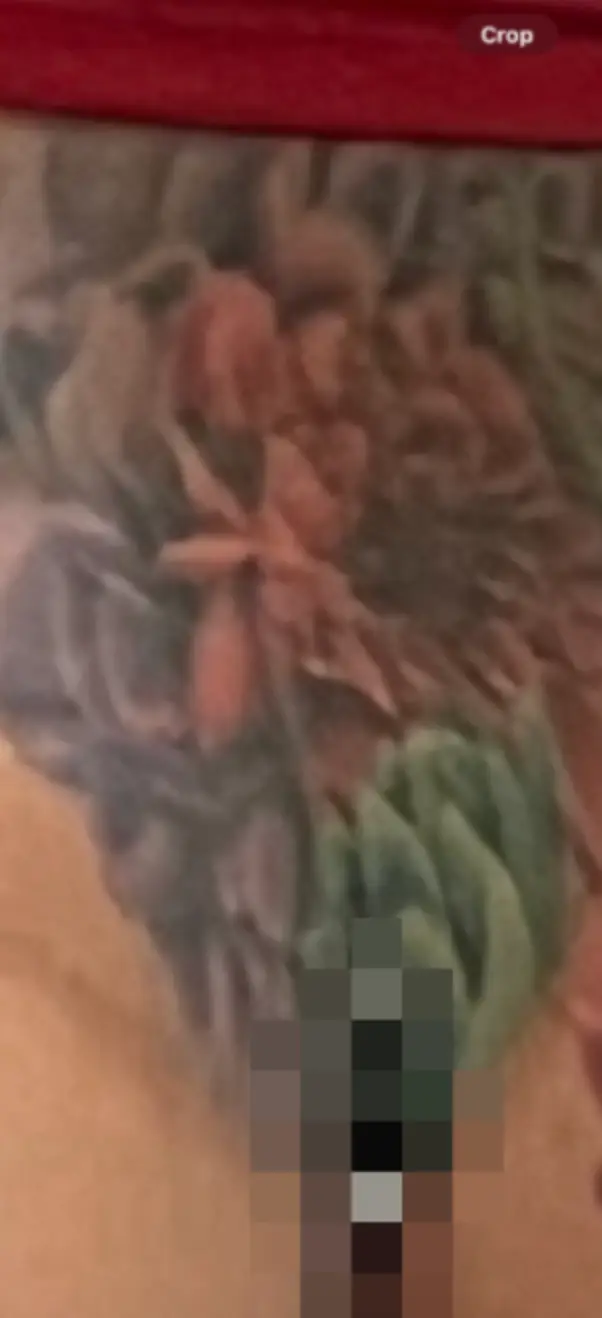 Cardi B shared a pic of the piercing online (Twitter/@iamcardib)