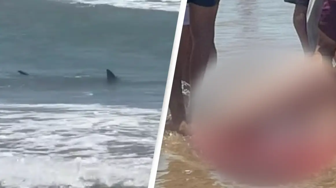 Twitter/@kb_mcmillan/Twitter/@zakisolja