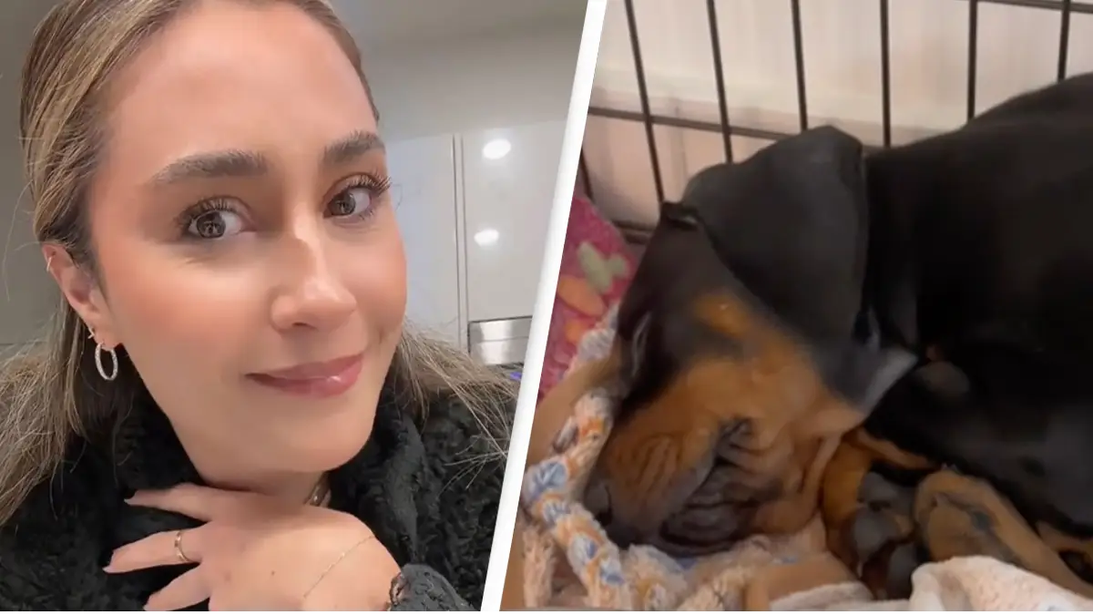 TikTok/itsalexiselliott