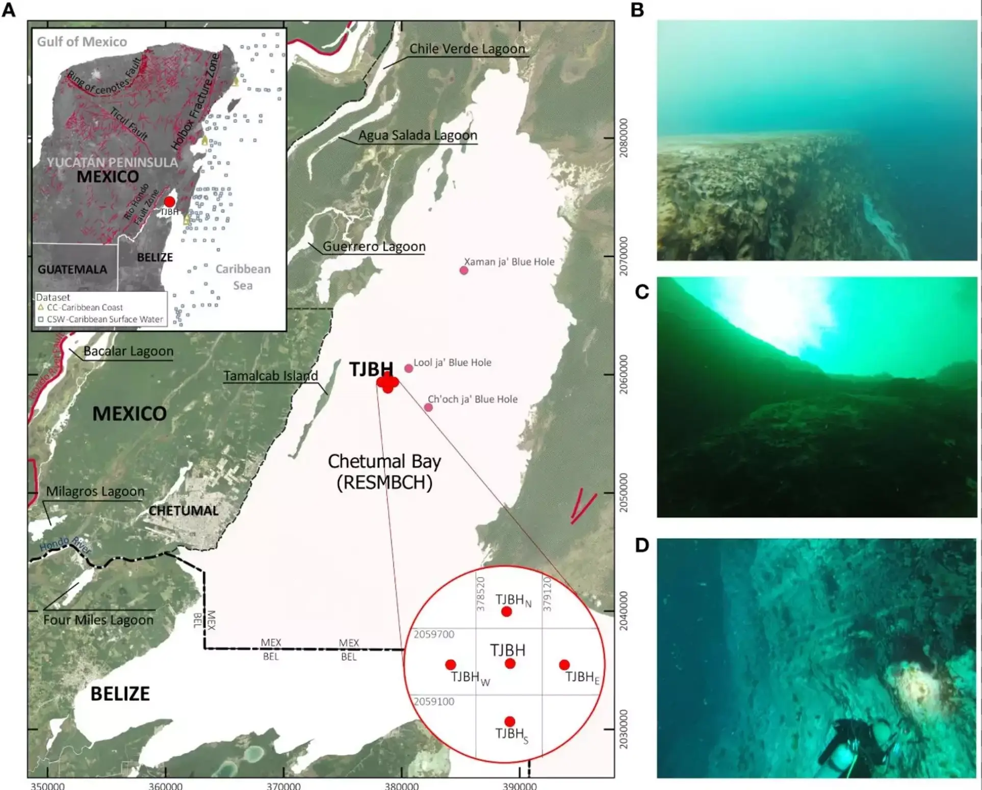The Taam Ja’ Blue Hole measures over 1,300 feet. (Frontiers in Marine Science)