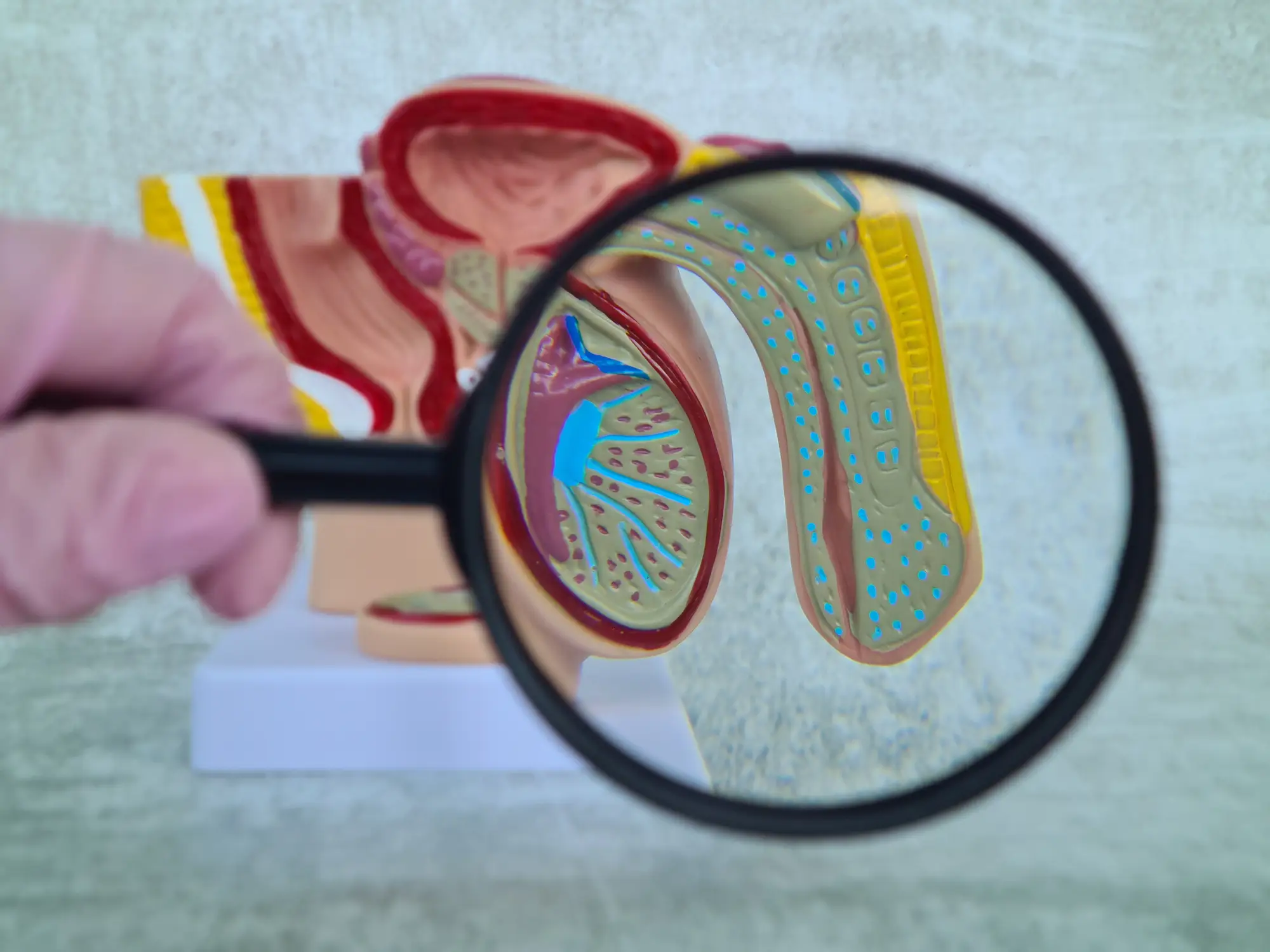 The study found the area that can be considered the male G-spot (Getty Stock Images)