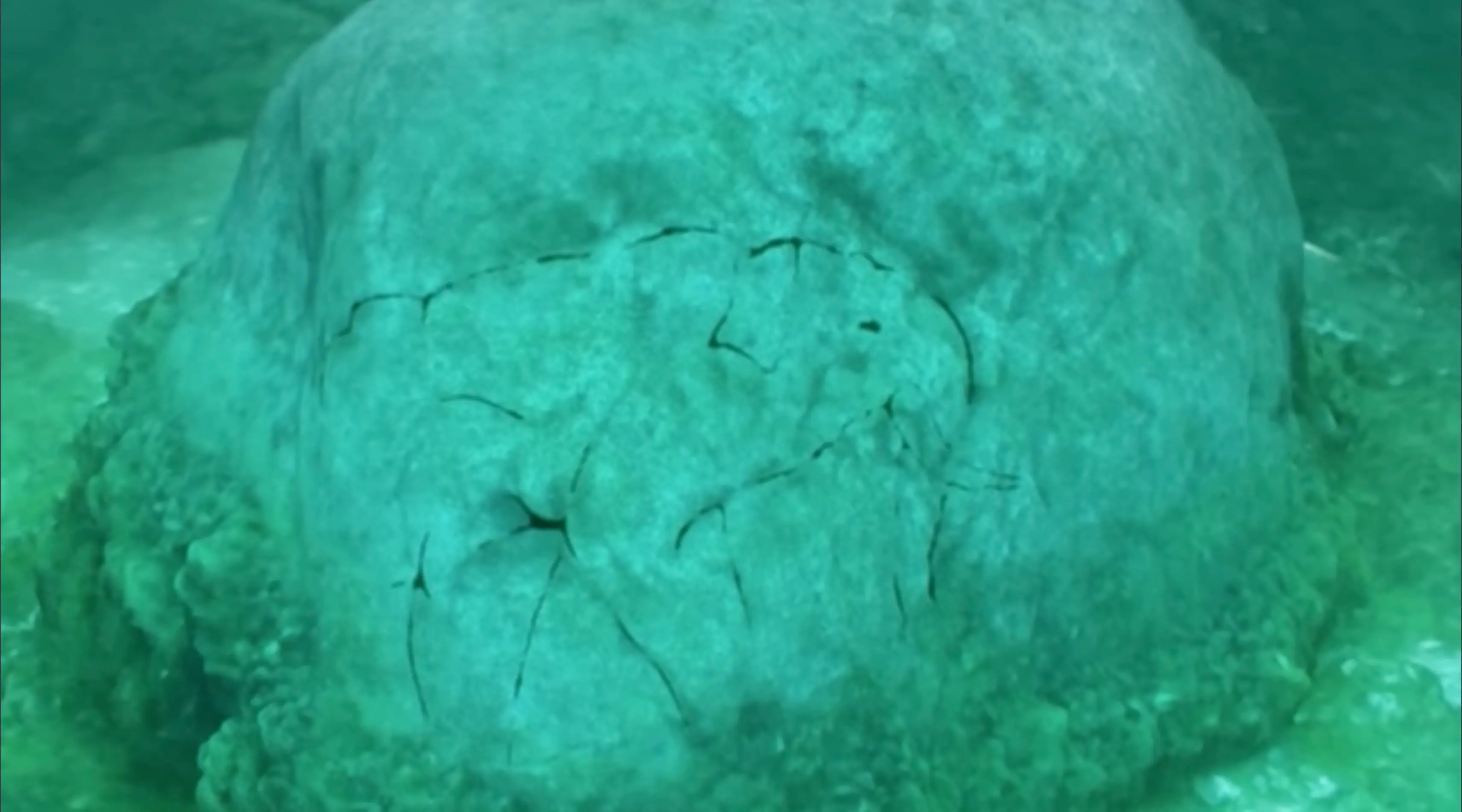 The Mastodon reveals itself on the ginormous rock (Discovery UK)