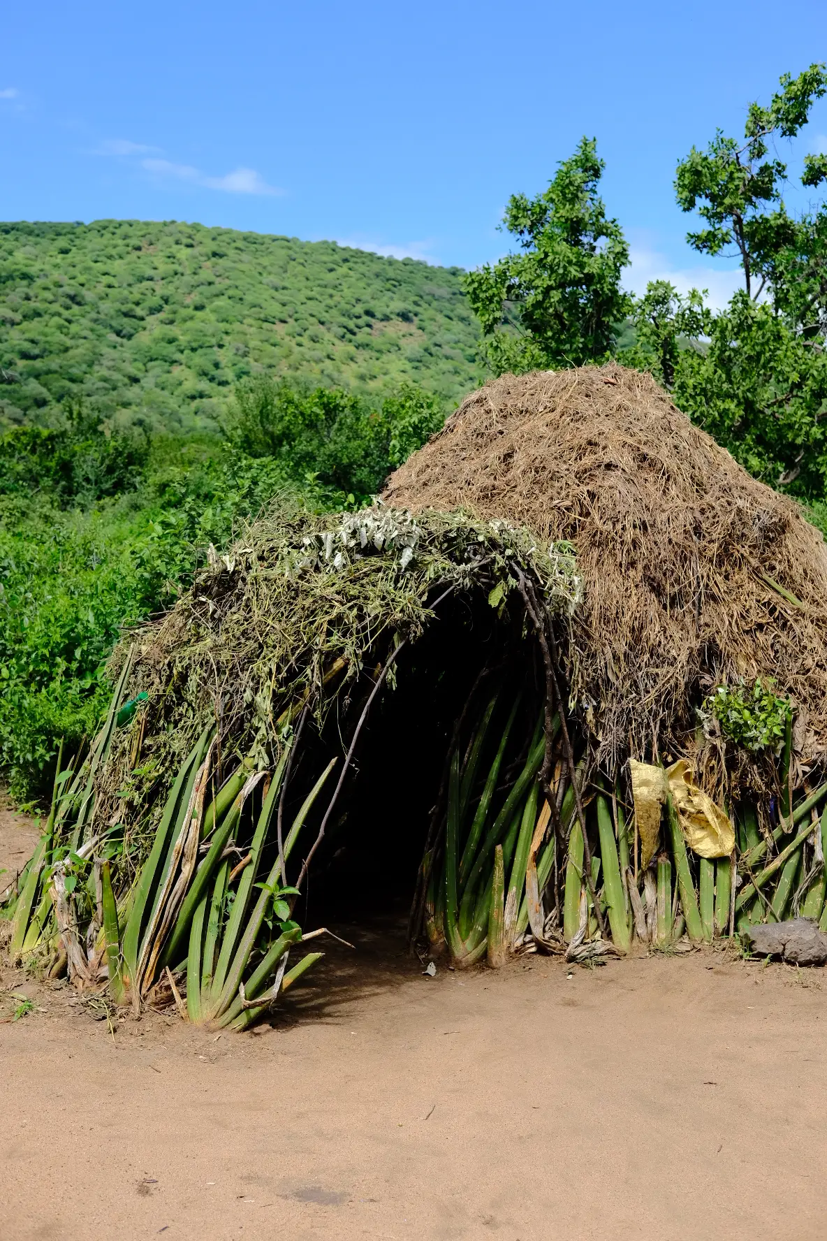 A photo of one of the huts that the tribe members live in (Supplied)