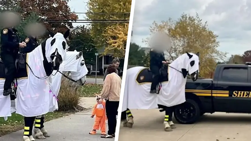 Police officers accused of dressing horses as KKK for Halloween