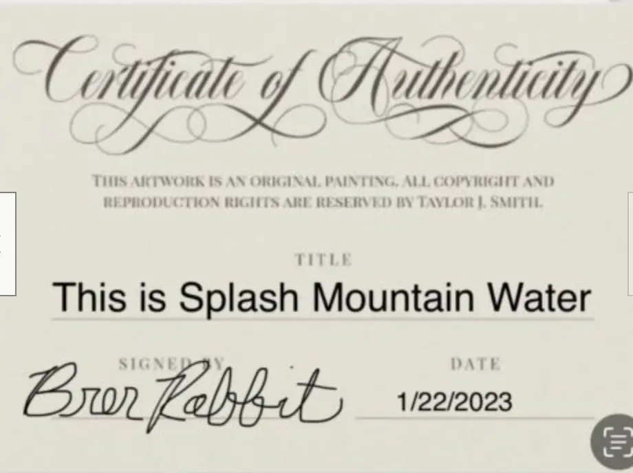 The certificate doesn't look very authentic.