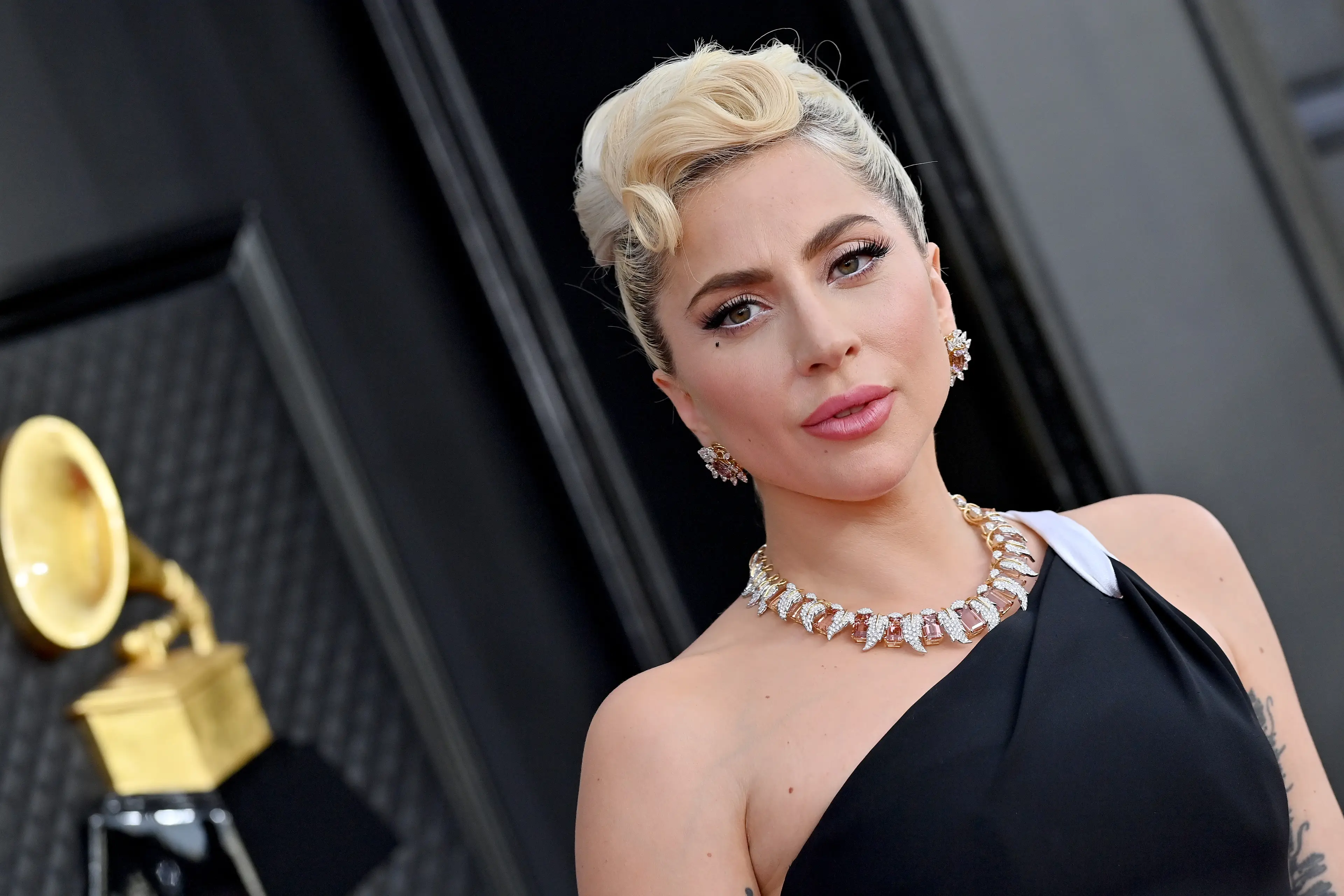 Details on Gaga's role are still unclear. (Axelle/Bauer-Griffin/FilmMagic)