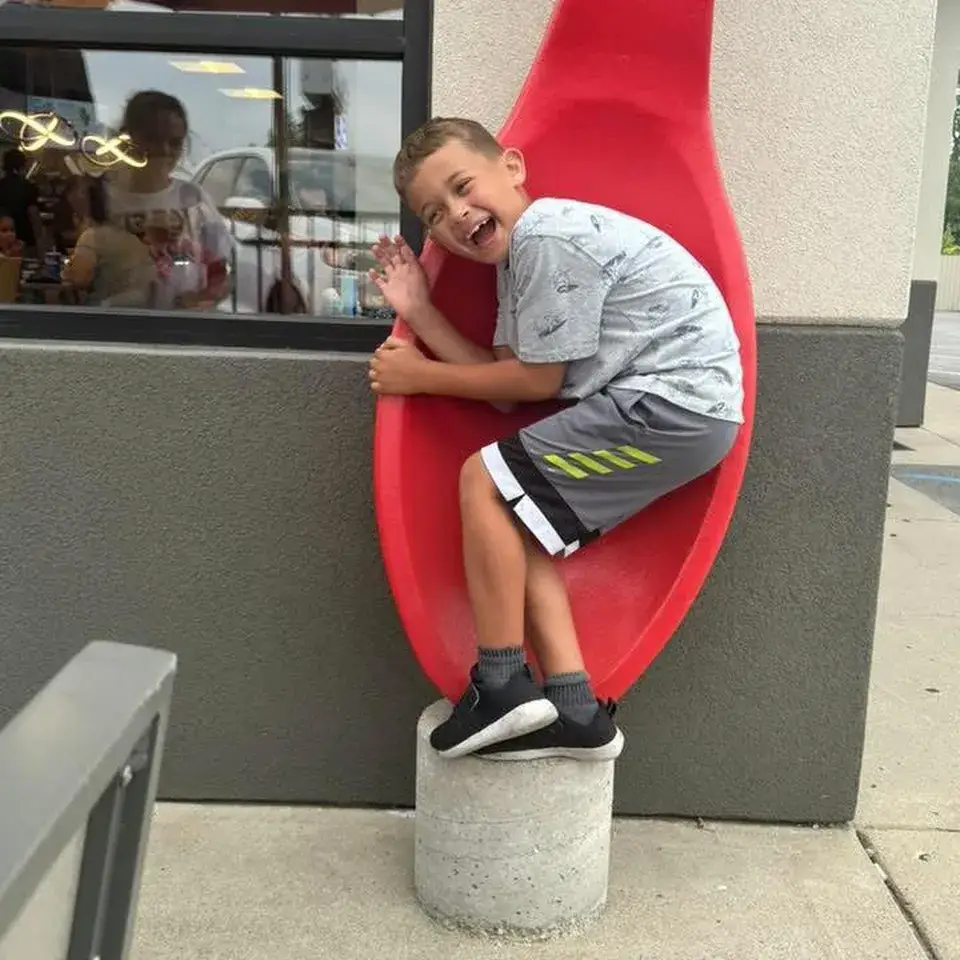 It is believed the boy contracted it from an unvaccinated child (GoFundMe)