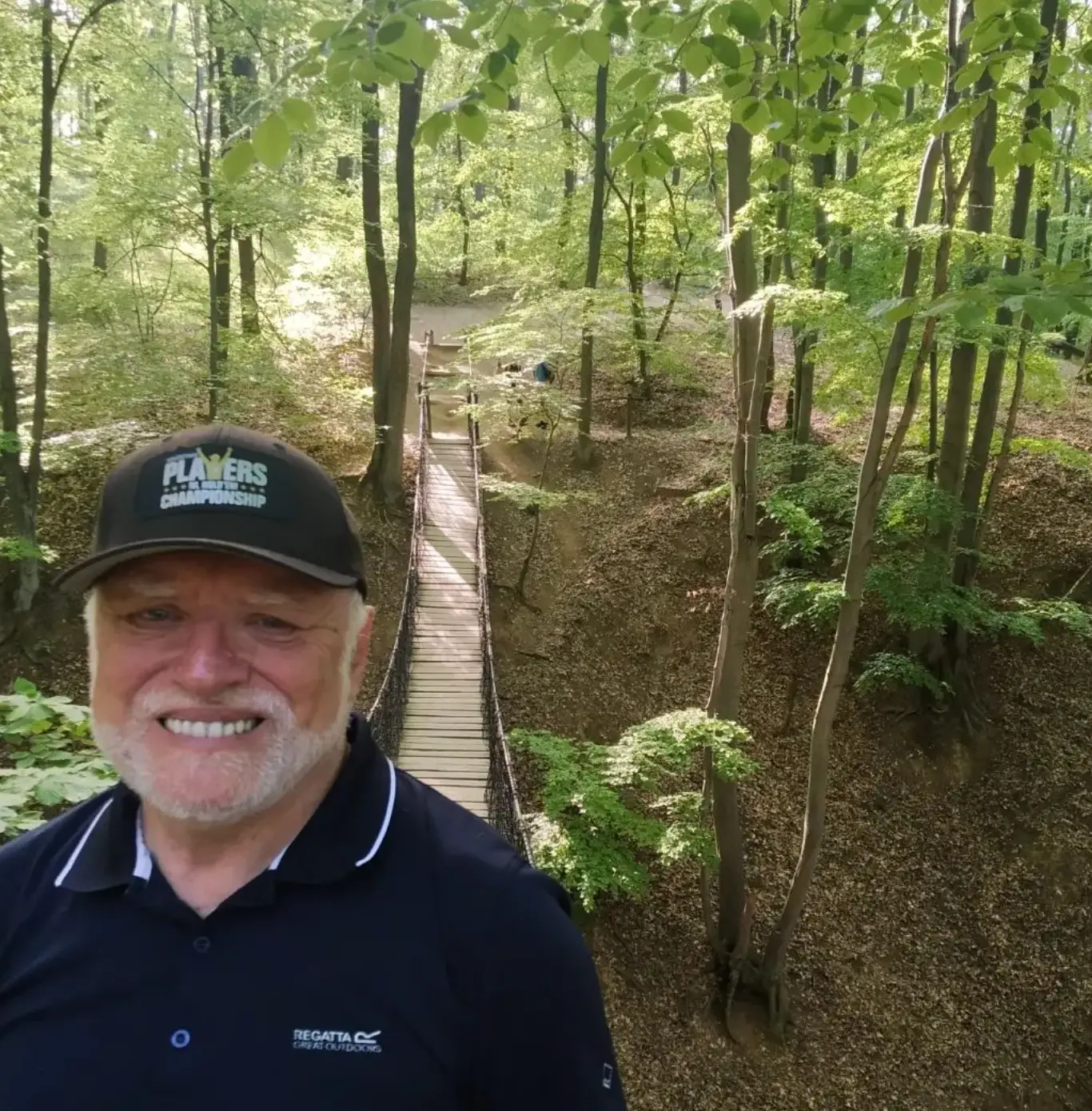 Hide The Pain Harold.