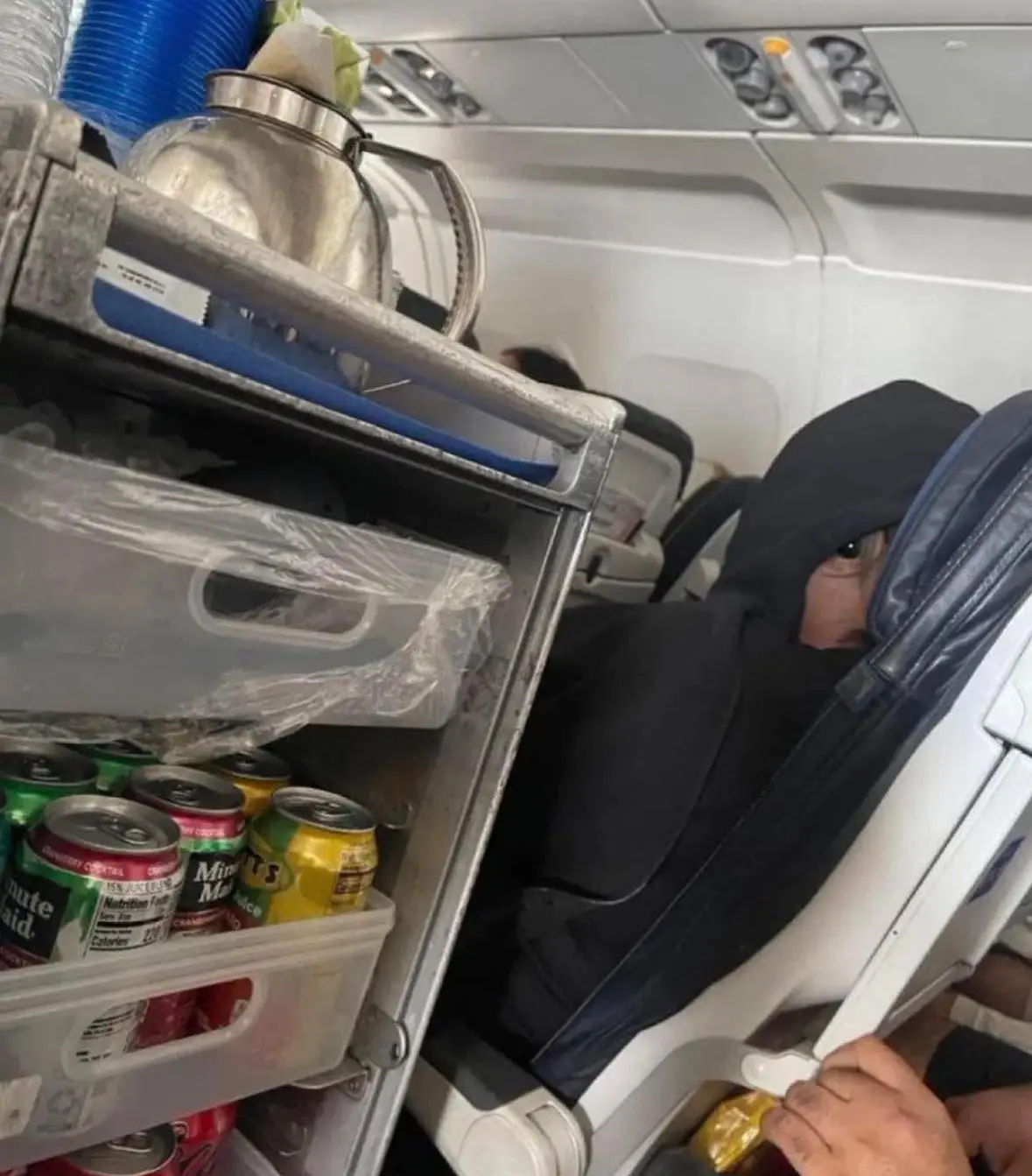 People are puzzled after a person posted a picture of what appears to be an 'alien' riding economy on a plane (X/@‌bluemupp)