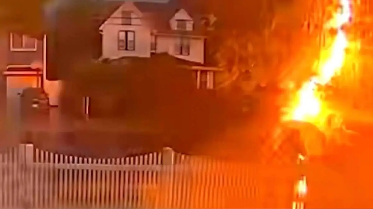 ABC 7 NEWS