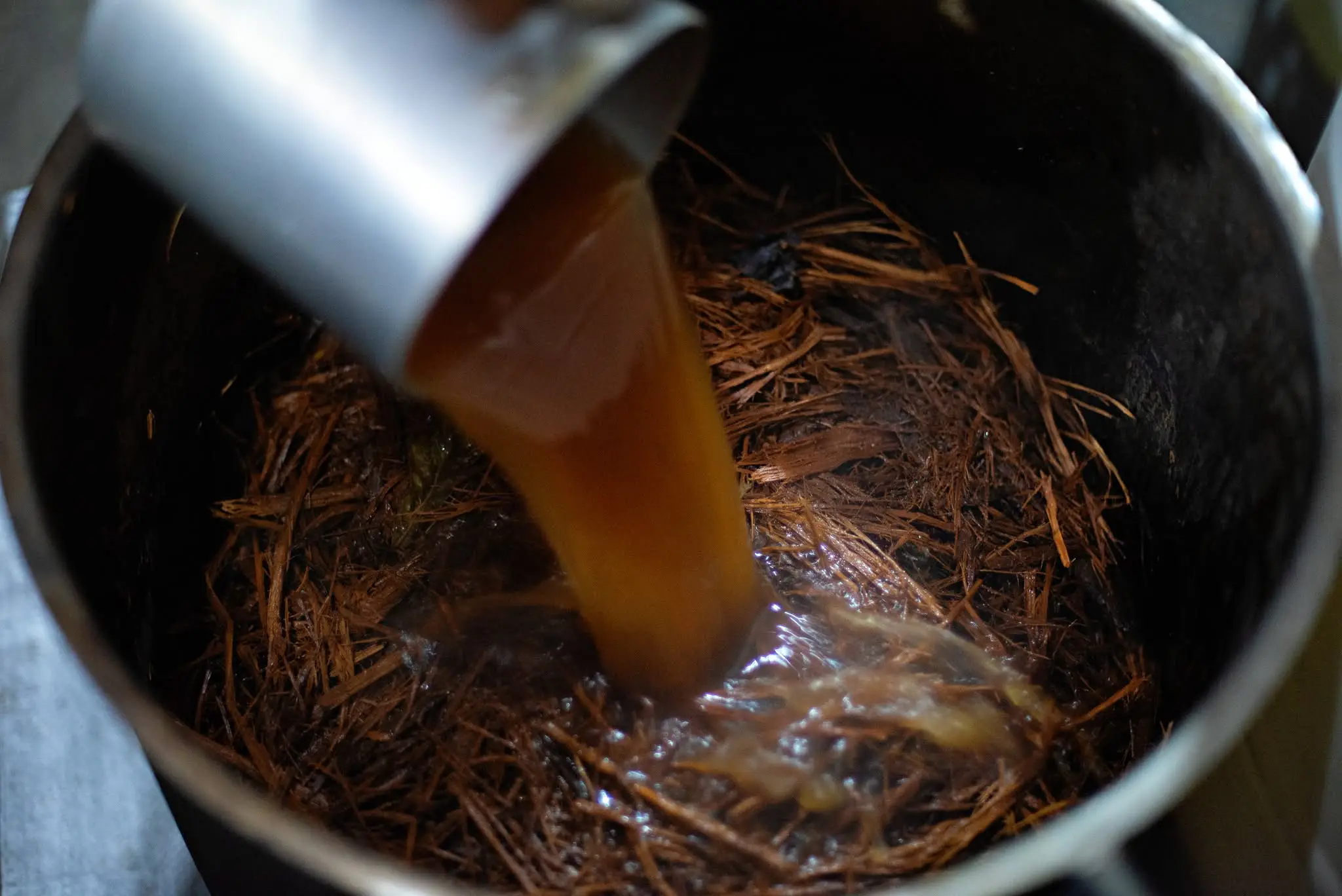 Aaron Wayne Castranova ingested a tea concoction in Peru (Helder Faria / Getty)