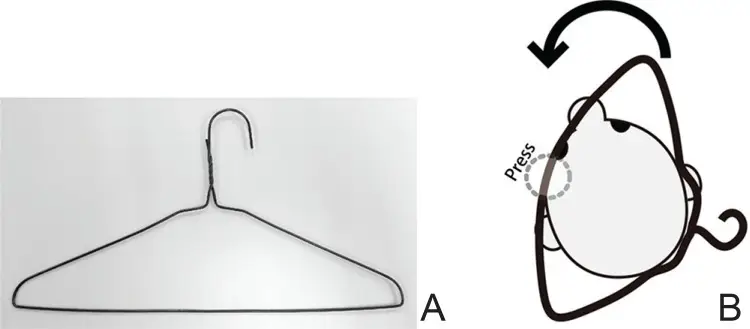 A diagram on how the hanger should be placed from the 2015 study.