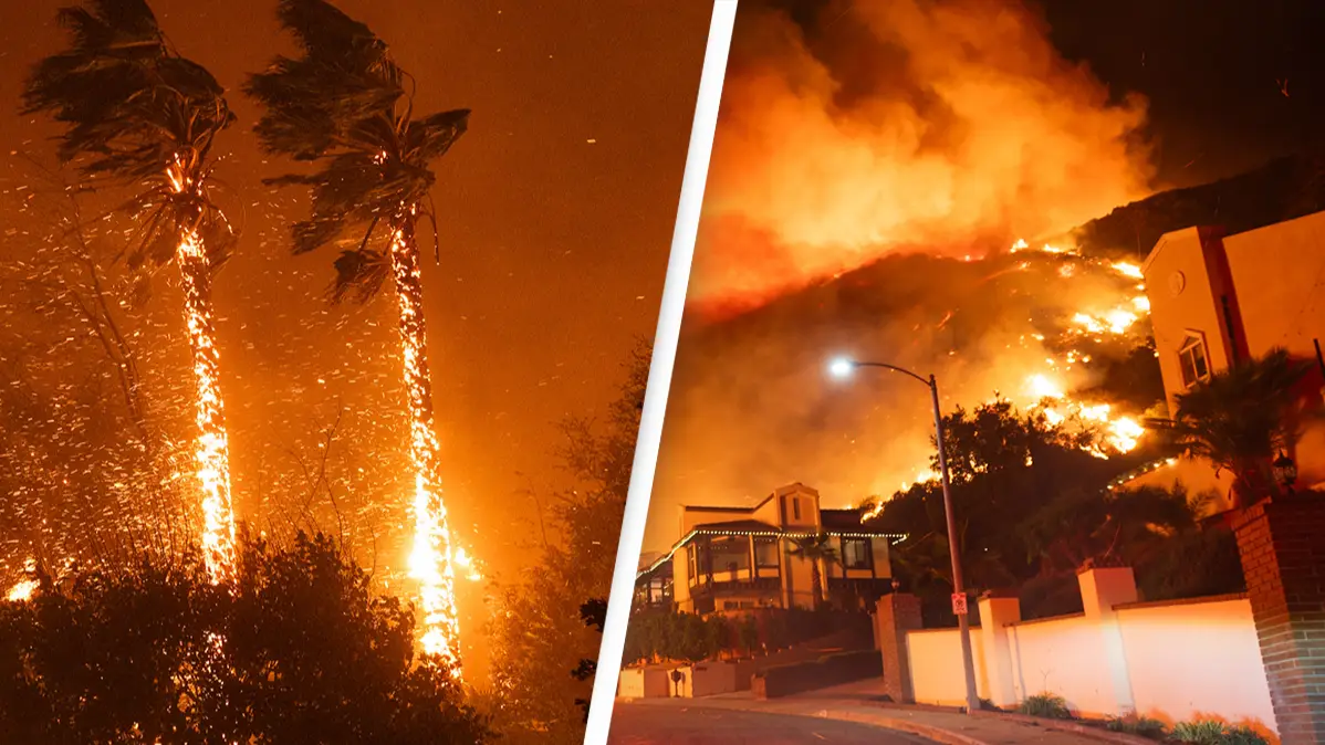 Why LA wildfires could affect every American financially even if you live nowhere near California