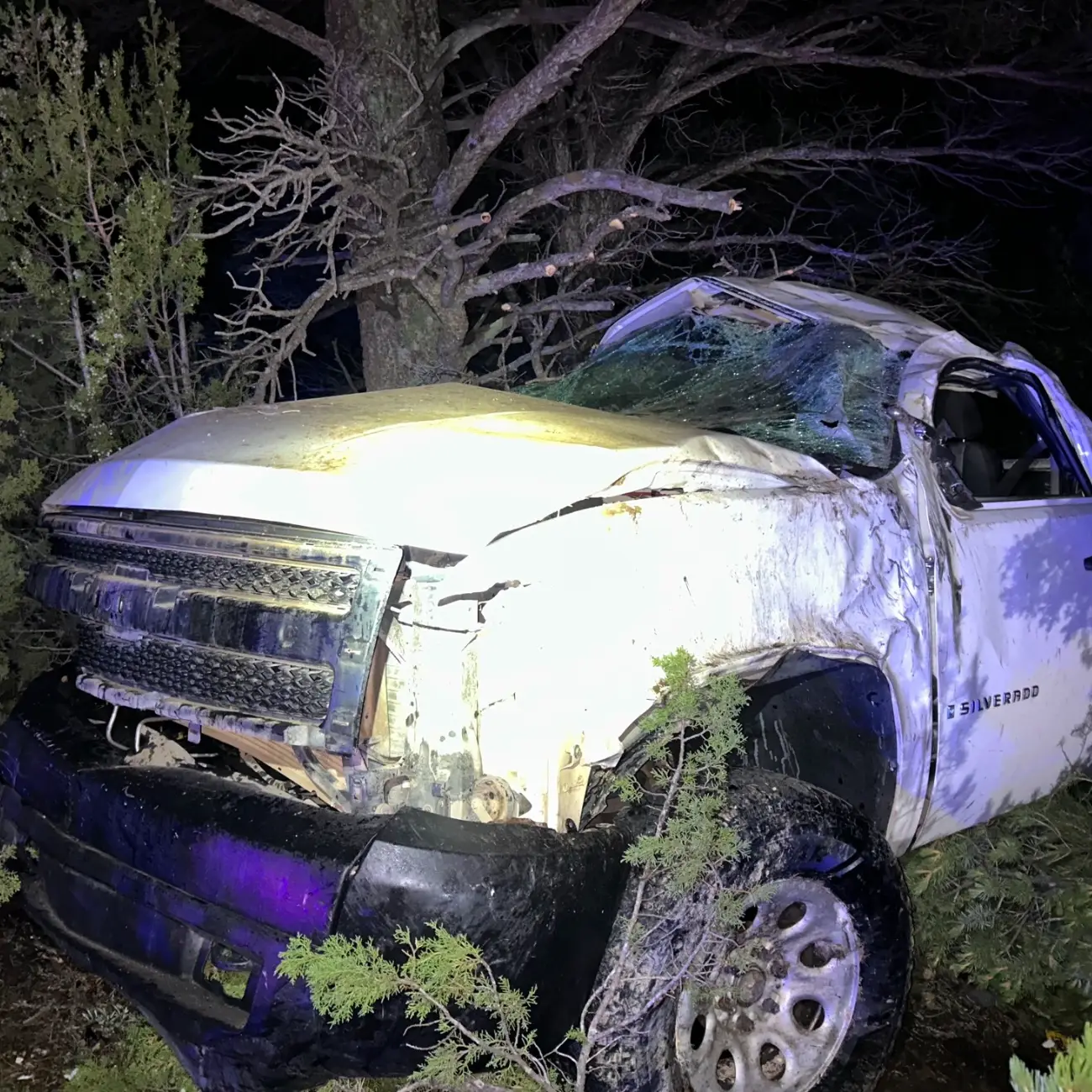 The vehicle collided with a tree (AZDPS Highway Patrol/Facebook)