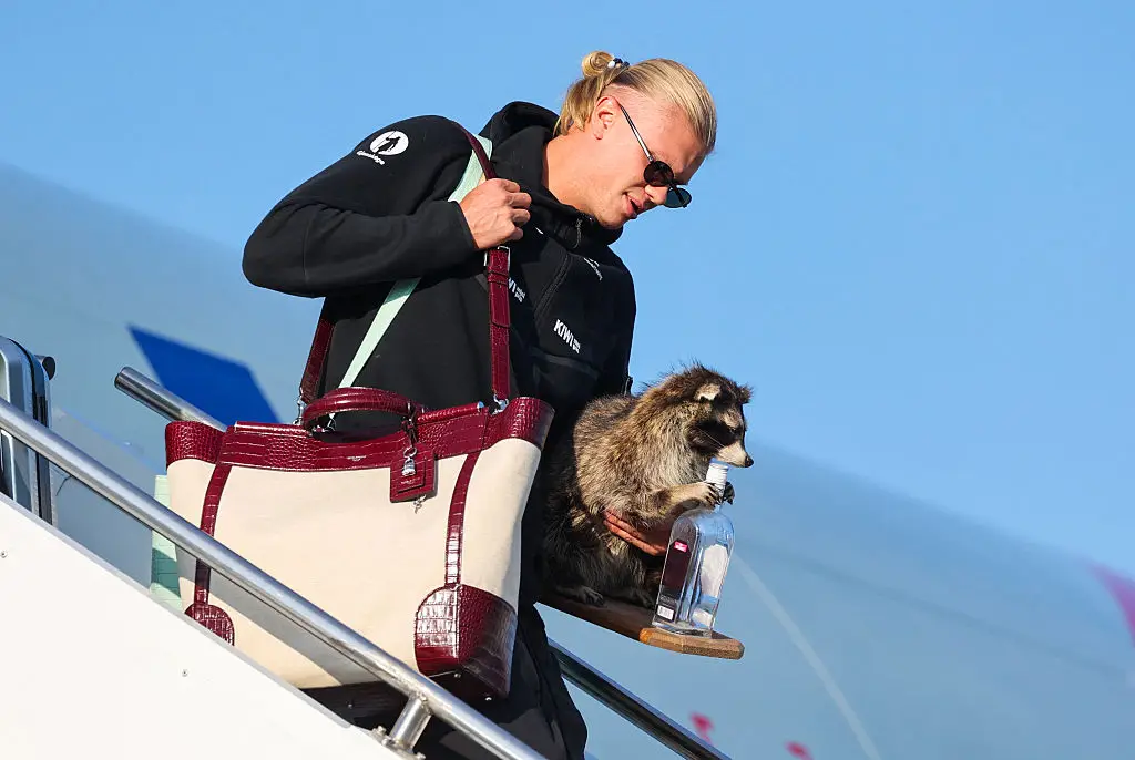 In one viral moment, Haaland was pictured returning to his homeland with a taxidermied raccoon in tow following Norway’s disappointing loss to England last week. (Photo by Jan Langhaug / NTB / AFP via Getty Images)